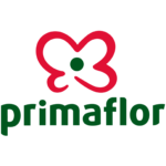 Diseño sin título - 2024-07-01T110621.854