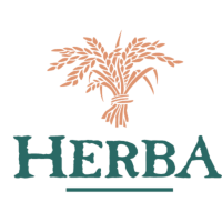 Diseño sin título (97)